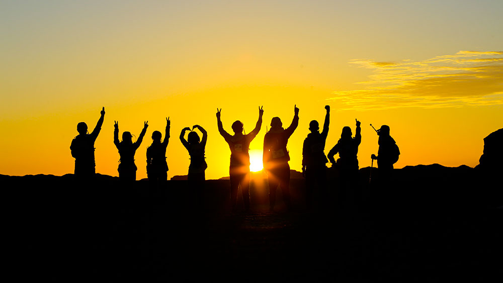 Team discussing future growth